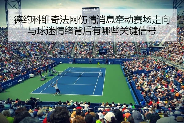 德约科维奇法网伤情消息牵动赛场走向与球迷情绪背后有哪些关键信号